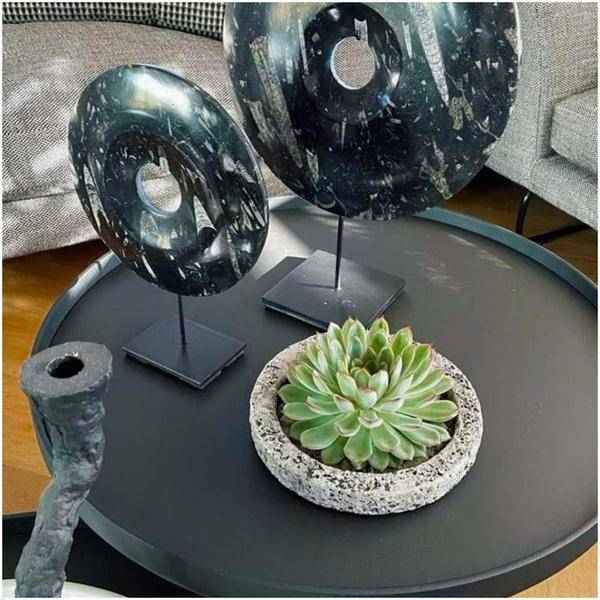 Image of Sukkulente Echeveria pulidonis Rootless Zimmerpflanze Ø20cm – pflegeleichte Sukkulente für Wohnzimmer, Büro & helle Standorte kaufen-2