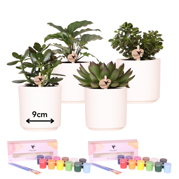 Image of DIY Blumentopf – Bemalset mit Sukkulenten – Malset für 4 Personen – Inkl. 4 Deko – Töpfe, 4 Mini – Sukkulenten, 24 Farben & Pinsel – Set-0