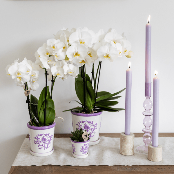 Image of Malaga Topf – Flieder – Ø6cm – Blumentopf aus Keramik im mediterranen Stil – Handgefertigte Optik