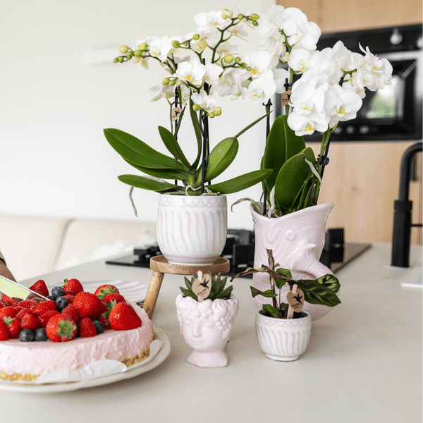 Image of Topf Granada – Rosa – Ø9cm – Dekorativer Keramiktopf – Mediterranes Design – Glasiert & langlebig – Für Zimmerpflanzen & Deko