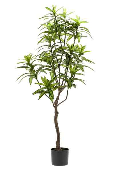 Image of Kunstpflanze Dracaena ↕130cm – künstliche Grünpflanze für Wohnzimmer, Büro, Flur & pflegeleichte Deko