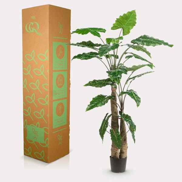 Image of Kunstpflanze Alocasia ↕180cm – künstliche Grünpflanze für Wohnzimmer, Büro, Flur & pflegeleichte Deko-3