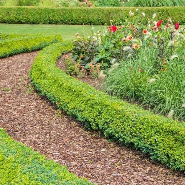 Image of Premium Baumrinde 30-40mm Culvita Französische Seekiefer – hochwertiges Produkt für Pflanzen, Garten, Zuhause, Dekoration & moderne Einrichtung