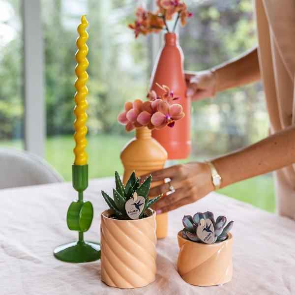 Image of Dekotopf Candy – Pfirsich – Ø6cm – Farbiger Keramik Blumentopf in glänzender Optik – Runde Form – Für Mini-Pflanzen & Orchideen-4